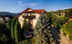 Pensiunea Bucovina